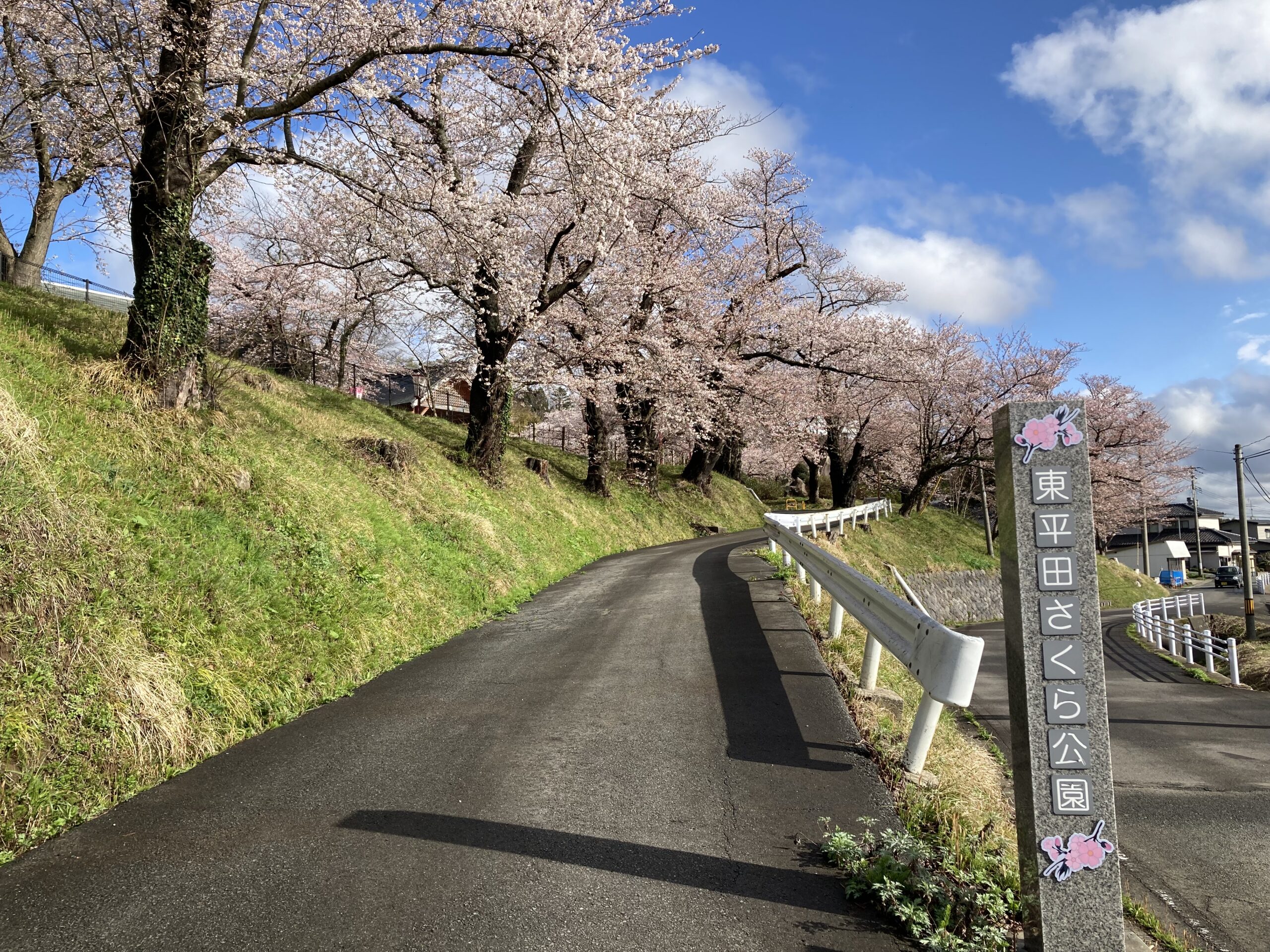 雨のち晴れの「東平田さくら公園」と「種まき爺さん」